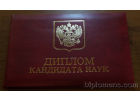Диплом Диплом доктора наук, кандидата наук